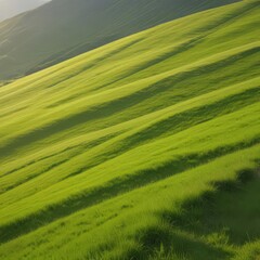 Obraz premium green field and mountains, green field, green field and green grass