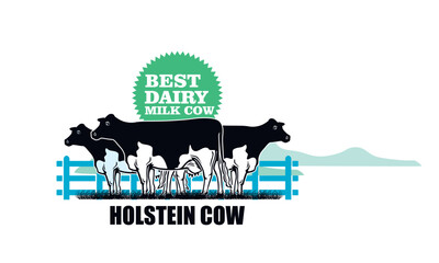 healthy holstein cow standing at farm logo, silhouette of great cow at field vector illustrations