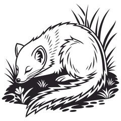 Sleeping Mongoose Curled in Grass, Black and White Illustration, Curled up Animal