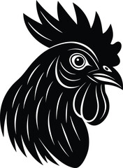 rooster isolated on white