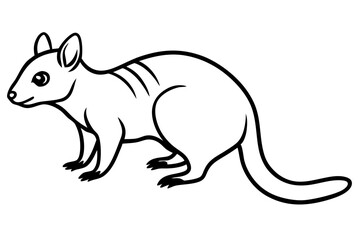 Quoll Silhouette Design