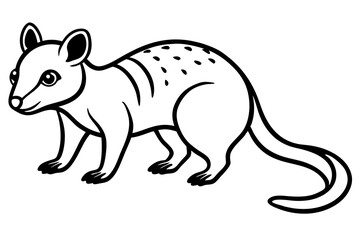 Quoll Silhouette Design