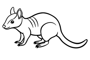Quoll Silhouette Design