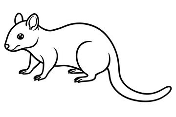 Quoll Silhouette Design