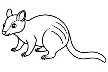 Quoll Silhouette Design