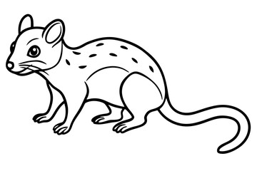 Quoll Silhouette Design