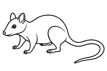 Quoll Silhouette Design