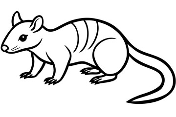 Quoll Silhouette Design