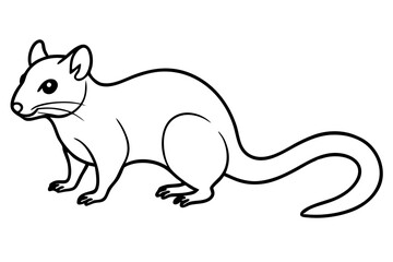 Quoll Silhouette Design