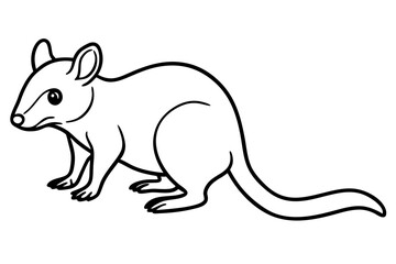 Quoll Silhouette Design