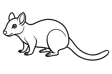 Quoll Silhouette Design