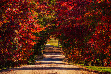 This place is absolutely beautiful during autumn, when the golden poplar trees are at their peak....
