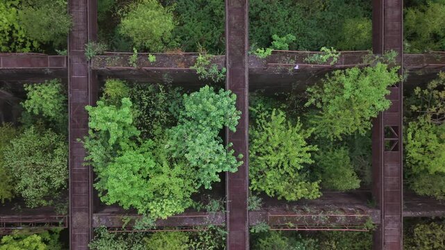 Geb&auml;ude einer verlassenen Fabrik im Ruhrgebiet werden von der Natur zur&uuml;ckgeholt und zeigen Relikte vergangener Tage