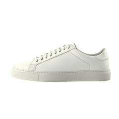 sneakers isolated on transparent background
