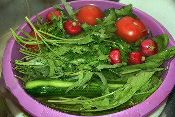 Vegetables and greens on a plate. Fresh vegetables for salad. Red tomatoes, green cucumbers, radishes and greens