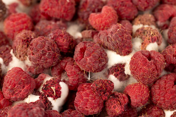 mold overripe spoiled red raspberries, spoiled food products naturally grown raspberries