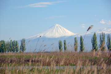Beautiful mountain and natural landscape with lake and trees. Trees on the river bank and volcanic mountain. Snowy peak of Mount Ararat