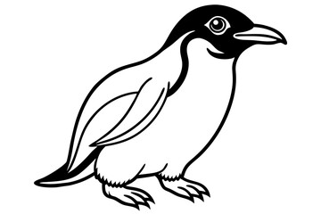 Rockhopper Sketch Vector