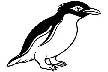 Rockhopper Sketch Vector