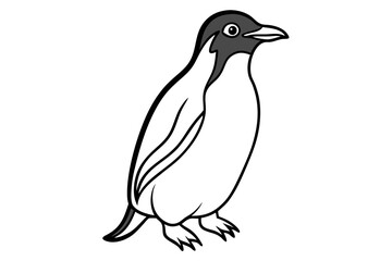 Fototapeta premium Rockhopper Sketch Vector