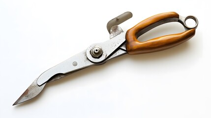 Obraz premium Vintage shears with metal, and studio shot.