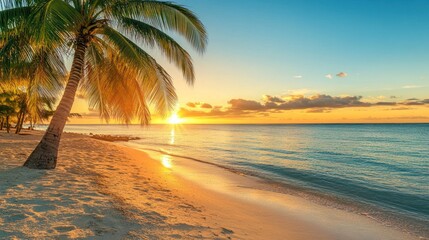 Fototapeta premium Tropical Beach with Palm Tree at Sunset Over a Turquoise Sea