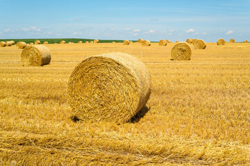 Fototapeta premium Agriculture — Panoramic Harvested Field with Prominent Foreground Hay Bale Under Sunny Sky