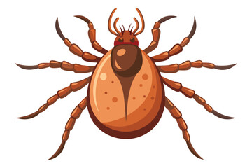 Illustration of tick animal on white.