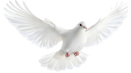 Photo of a White Dove in Flight with Spread Wings on Transparent Background