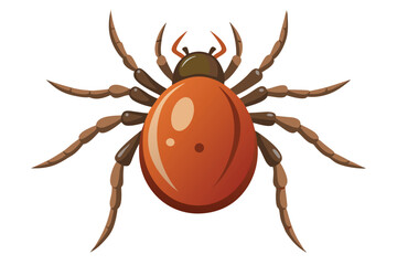Illustration of tick animal on white.