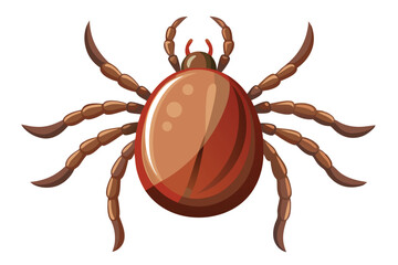 Illustration of tick animal on white.