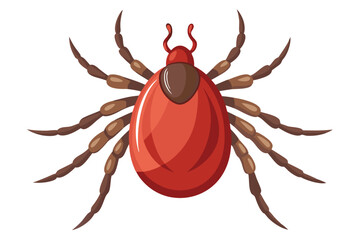 Illustration of tick animal on white.