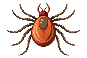 Illustration of tick animal on white.
