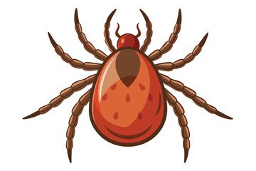 Illustration of tick animal on white.