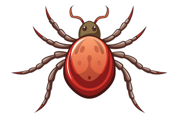 Illustration of tick animal on white.