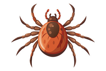 Illustration of tick animal on white.