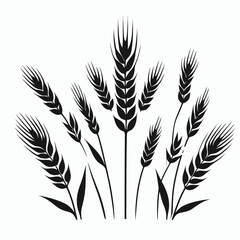  very simple flat and single minimalist Wheat Plant Silhouettes in black on a white background 