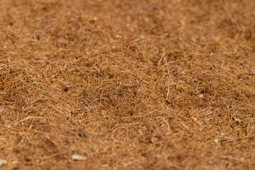 a part of a used coconut mattress to ensure hardness