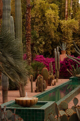 Garden in the city