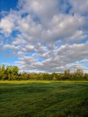 Horizontes quietos- Still Horizons