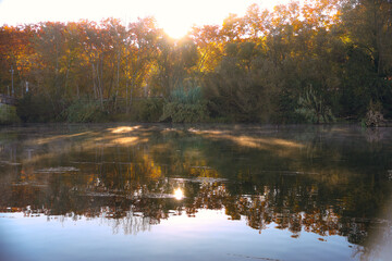 Horizontes quietos- Still Horizons