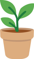 Potted Plant