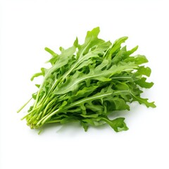 Fresh arugula bunch close up view on white background