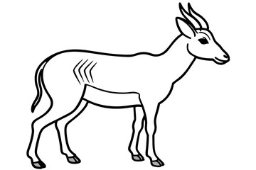 Saiga Antelope Outline Art