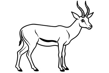 Saiga Antelope Outline Art