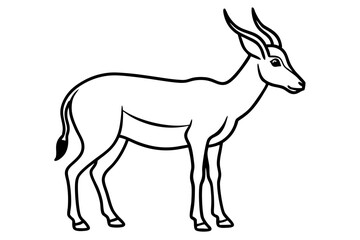 Saiga Antelope Outline Art
