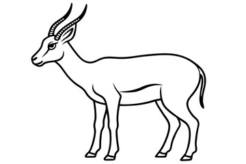Saiga Antelope Outline Art