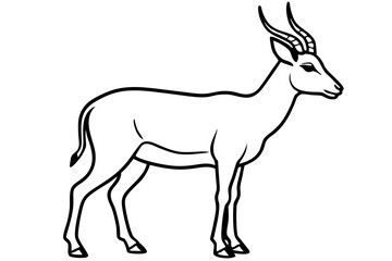 Saiga Antelope Outline Art