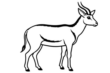 Fototapeta premium Saiga Antelope Outline Art