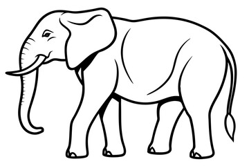 Simple Elephant Line Design